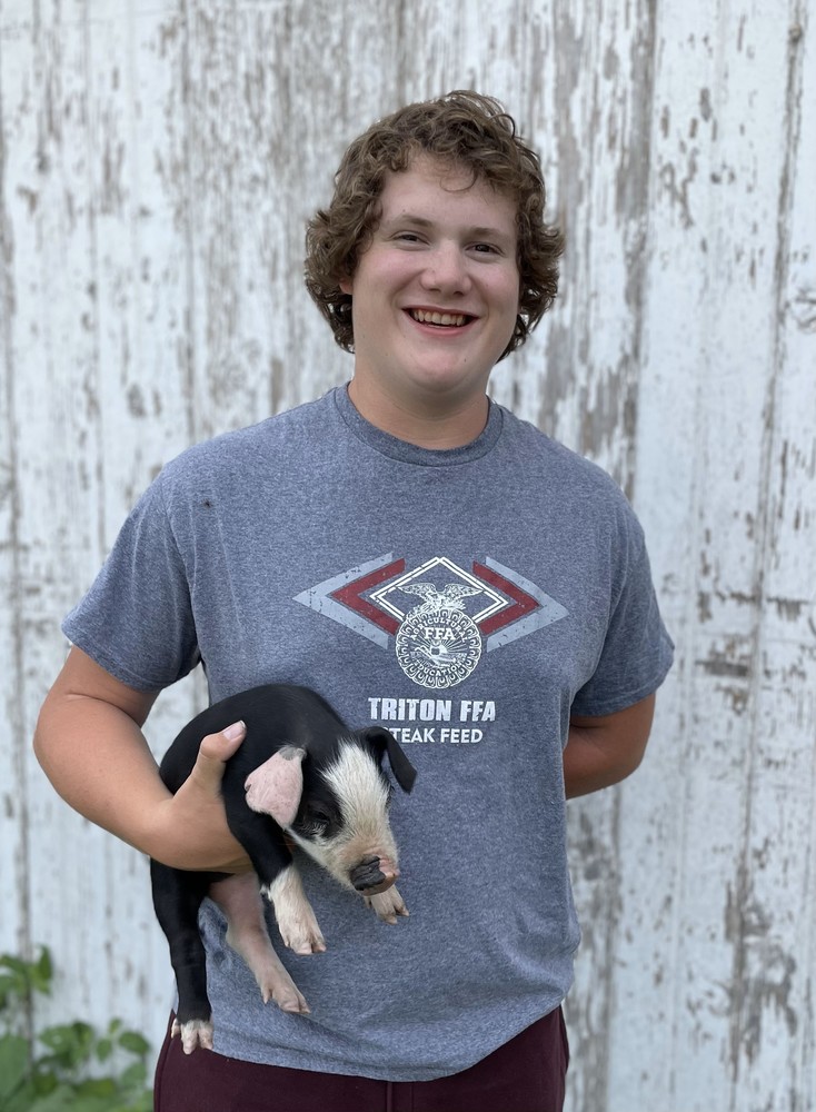 Triton FFA member named National Finalist for Swine Proficiency