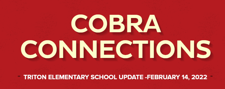 Cobra Connections 
